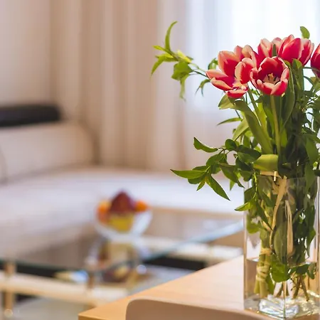 Ibar & Garage بلوفديف