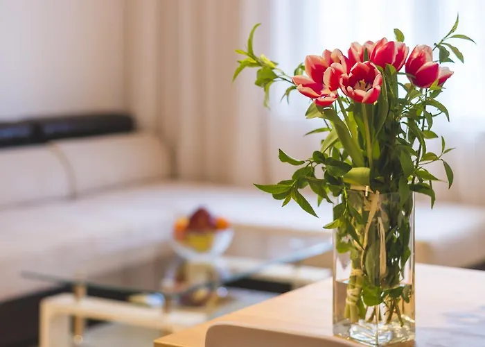 Ibar & Garage Płowdiw